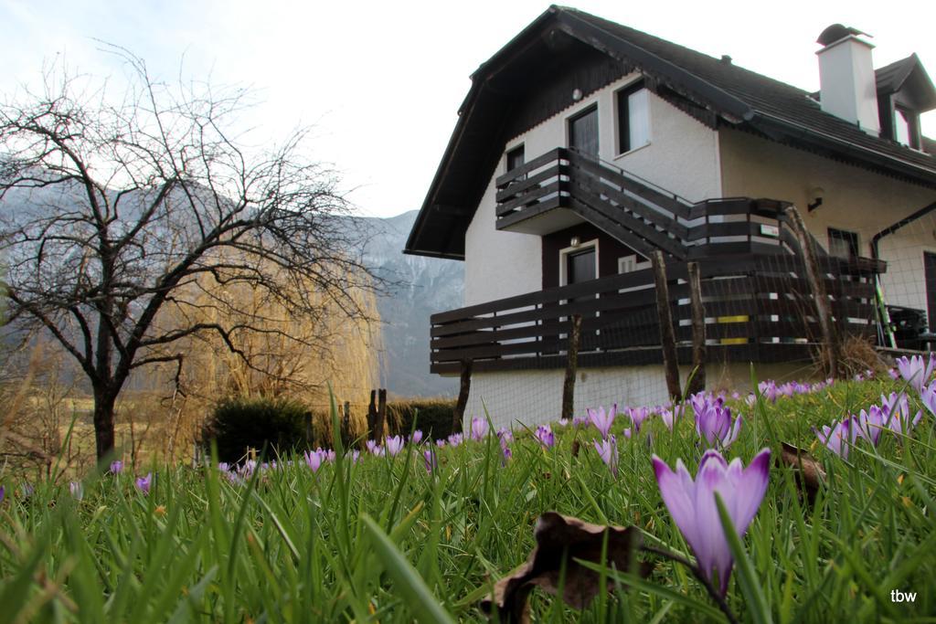 Apartments Tatjana Bovec Exterior foto