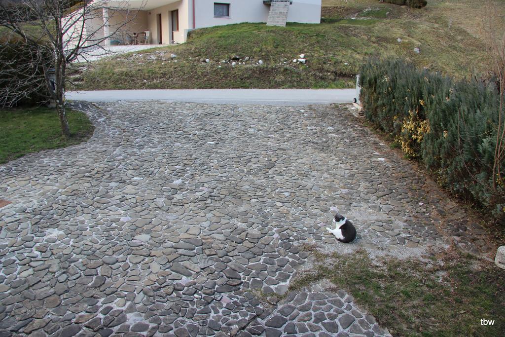 Apartments Tatjana Bovec Exterior foto